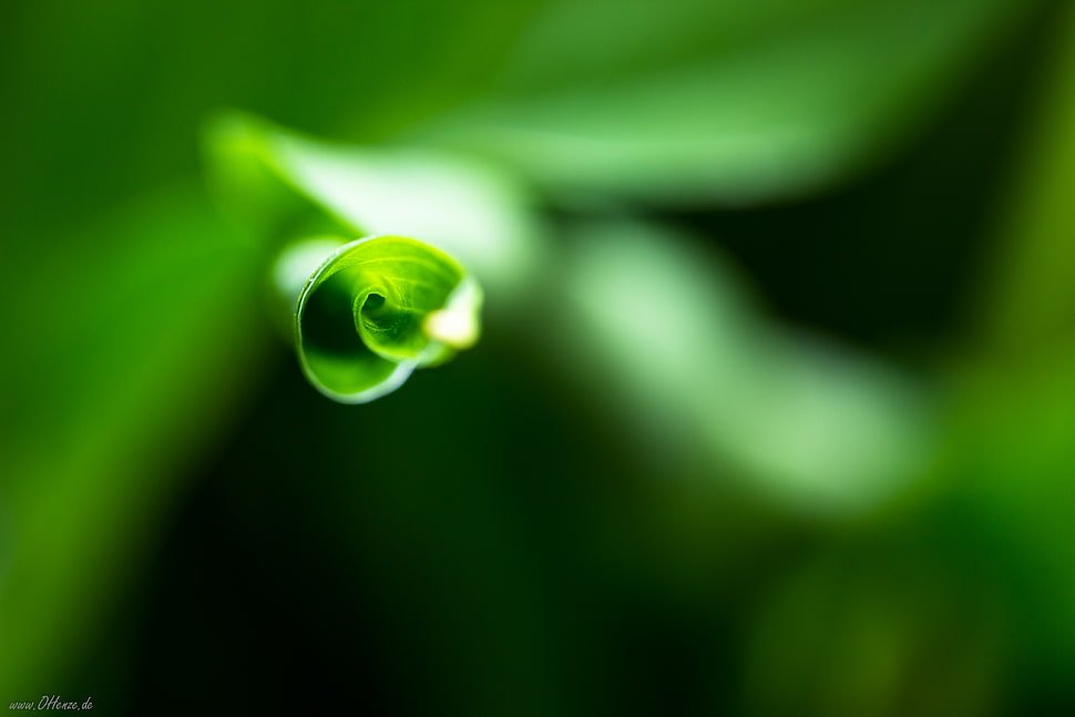 Loop, untitled, 600D, Canon  Eos HD wallpaper