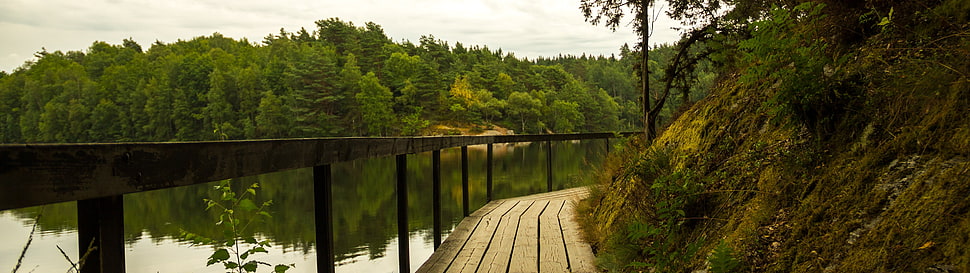 brown wooden rail, dual monitors, multiple display, landscape HD wallpaper