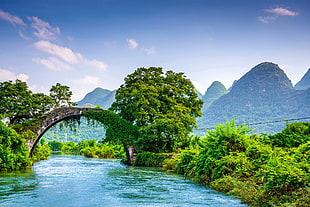 arc shaped bridge, yulong bridge, bridge, nature, landscape HD wallpaper