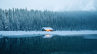 brown wooden house, winter, snow, ice, lake