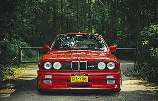 red BMW car beside yellow flower HD wallpaper