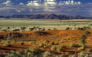 landscape photograph of desert HD wallpaper