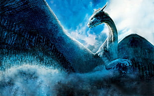 blue griffin wallpaper, dragon, Eragon, Saphira HD wallpaper