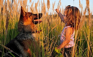 girl in pink and red floral tank top front of German Shepherd at daytime
