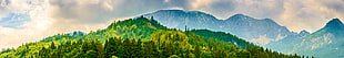 green forest near mountain, Österreich HD wallpaper
