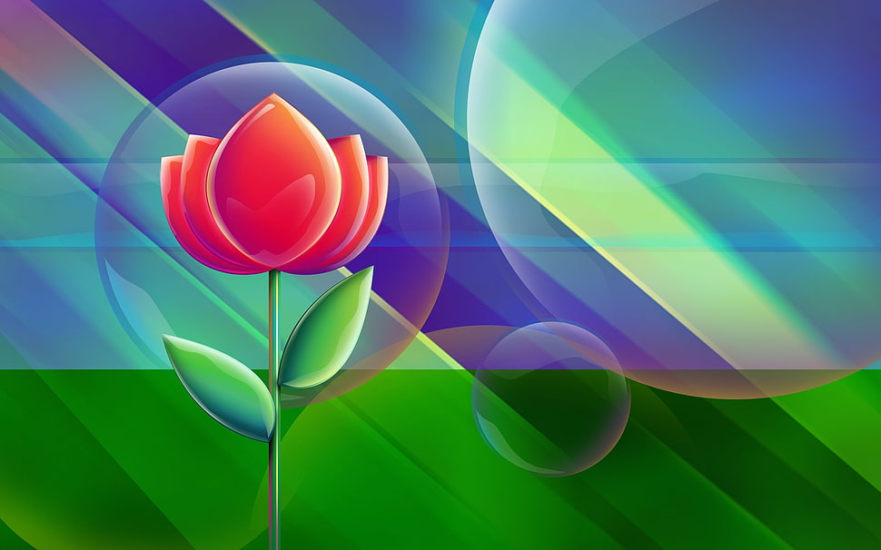 orange flower in bubble illustration HD wallpaper