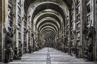 gray statue, architecture