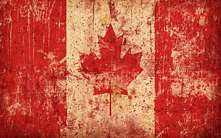 Canadian flag HD wallpaper