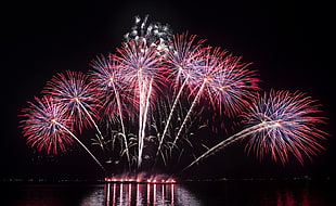 fireworks, Salute, Holiday, Fireworks HD wallpaper