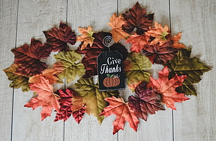 assorted-color maple leaf decors