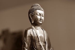 Gautama Buddha photography HD wallpaper