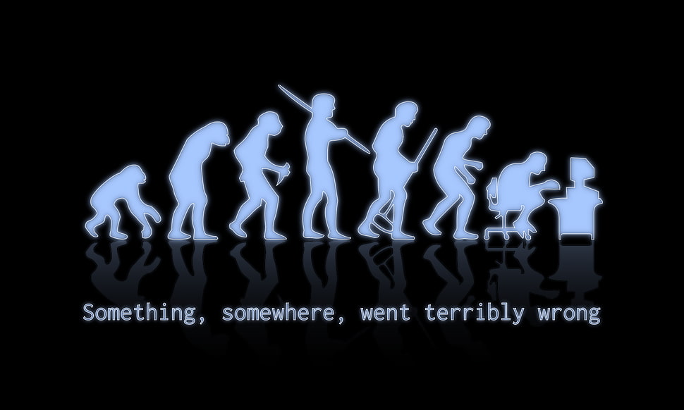 evolution of man with text overlay, quote, evolution, typography, humor HD wallpaper