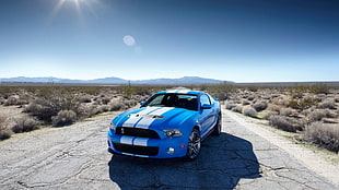 blue and white Ford Mustang coupe, car, Ford Mustang Shelby HD wallpaper