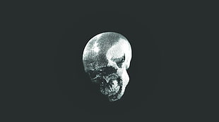 silver skull, skull, minimalism, disco