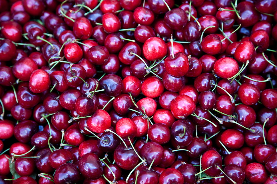 red cherry fruits HD wallpaper