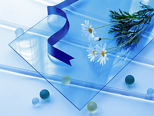 clear glass panel with daisy flowers