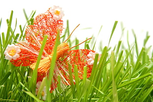 macro photography of orange and white string butterfly decor on green grass