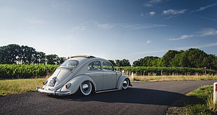gray Volkswagen Beetle coupe, vehicle, car, Volkswagen Beetle, tuning HD wallpaper