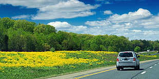 gray SUV on road near green field grass during daytime HD wallpaper