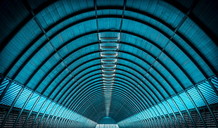 blue and black tunnel