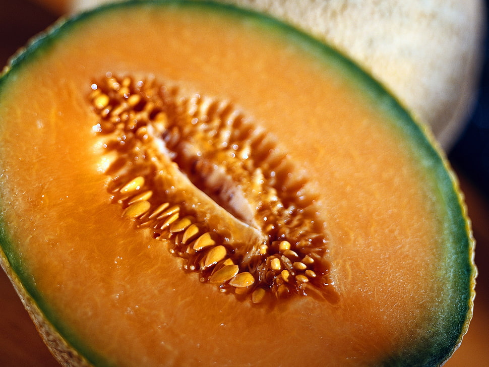 Melon Fruit HD wallpaper