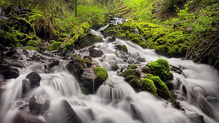 photograph of waterfalls HD wallpaper