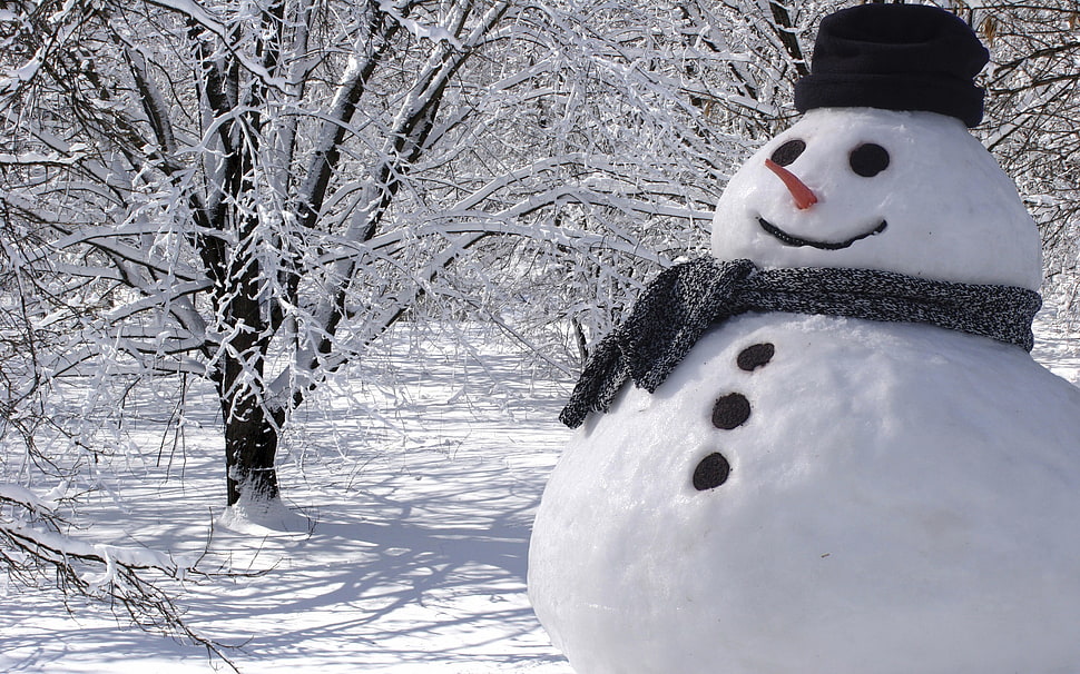 snowman, snow, winter, white, snowman HD wallpaper