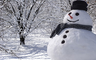 snowman, snow, winter, white, snowman HD wallpaper