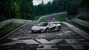 gray and black sports car on race track road during daytime HD wallpaper