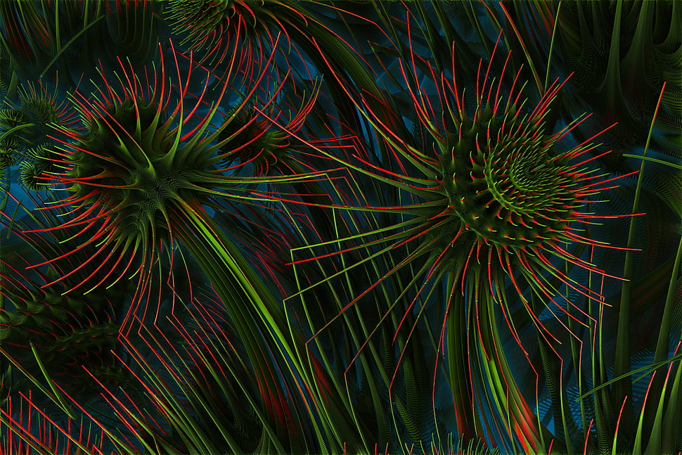 green and red flowers photography HD wallpaper