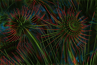 green and red flowers photography