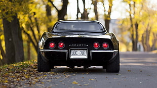black Corvette car, car, vehicle, Corvette, Chevrolet Corvette