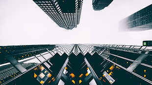 low-angle photography of high-rise buildings, photography, building, perspective