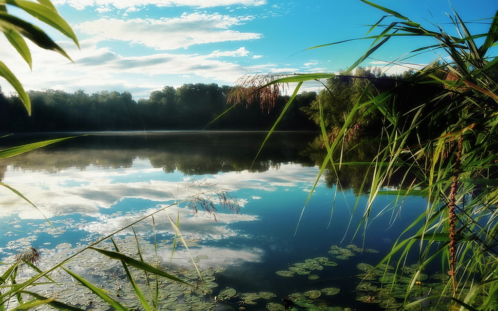 body of water, lake, nature, landscape, water HD wallpaper