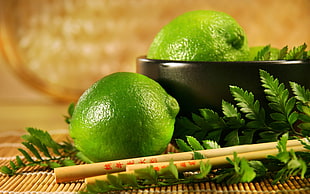 selective focus photo of unripe lemon fruit