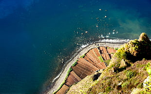area view of a beach