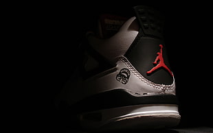 black-and-gray Air Jordan basketball shoe
