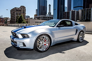 gray Ford Mustang coupe, Ford Mustang, silver, silver cars, car