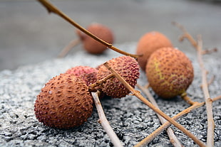 shallow focus photography of brown fruit on gray pavement