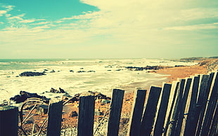 brown wooden fence, sea, coast, fence HD wallpaper