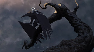 Moon and Crow movie scene, artwork, digital art, James Zapata, animals HD wallpaper