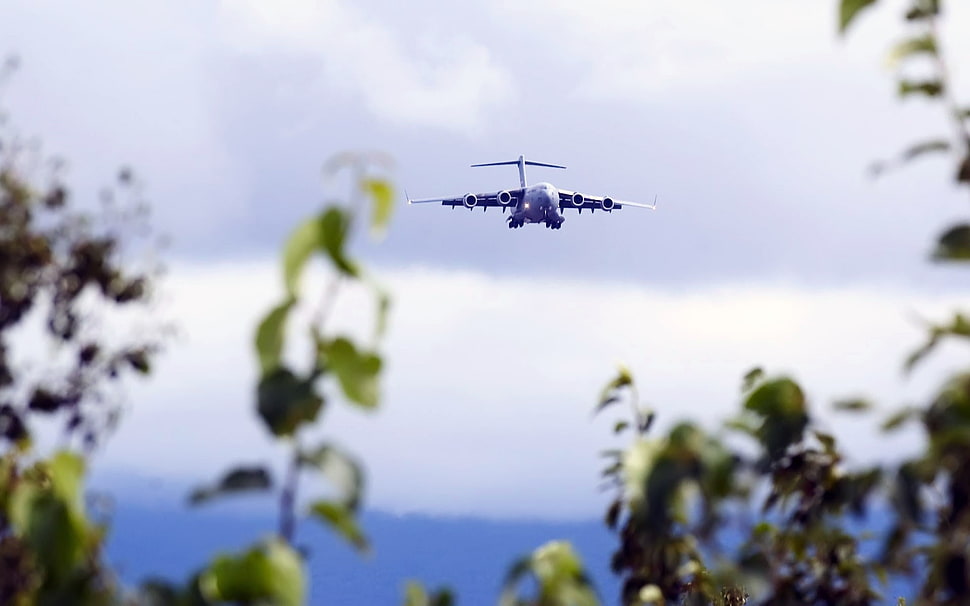 white airplane, airplane, depth of field, Boeing C-17 Globemaster III HD wallpaper