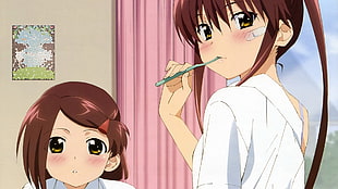 two female anime character illustration, Kiss x Sis, Suminoe Ako, Suminoe Riko