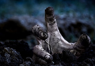person's right hand, zombies HD wallpaper
