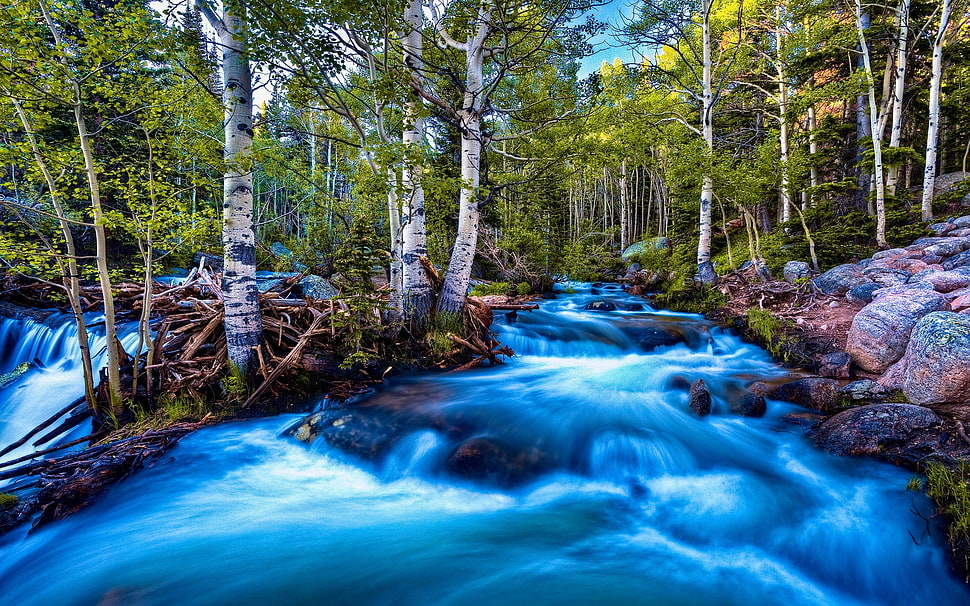 photo of river HD wallpaper