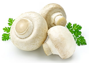 three white button mushrooms
