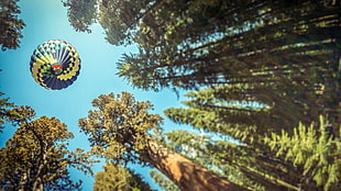 blue and yellow hot air balloon, hot air balloons, trees, forest HD wallpaper