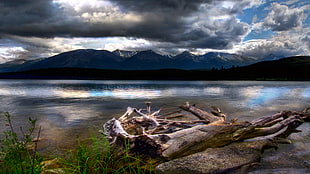 log near body of water distance with mountains under gray clouds, lake annette HD wallpaper