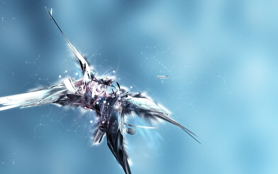 black and white bird illustration HD wallpaper