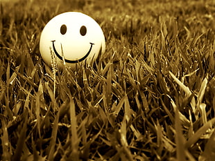 yellow smiley emoji plush toy on grass field